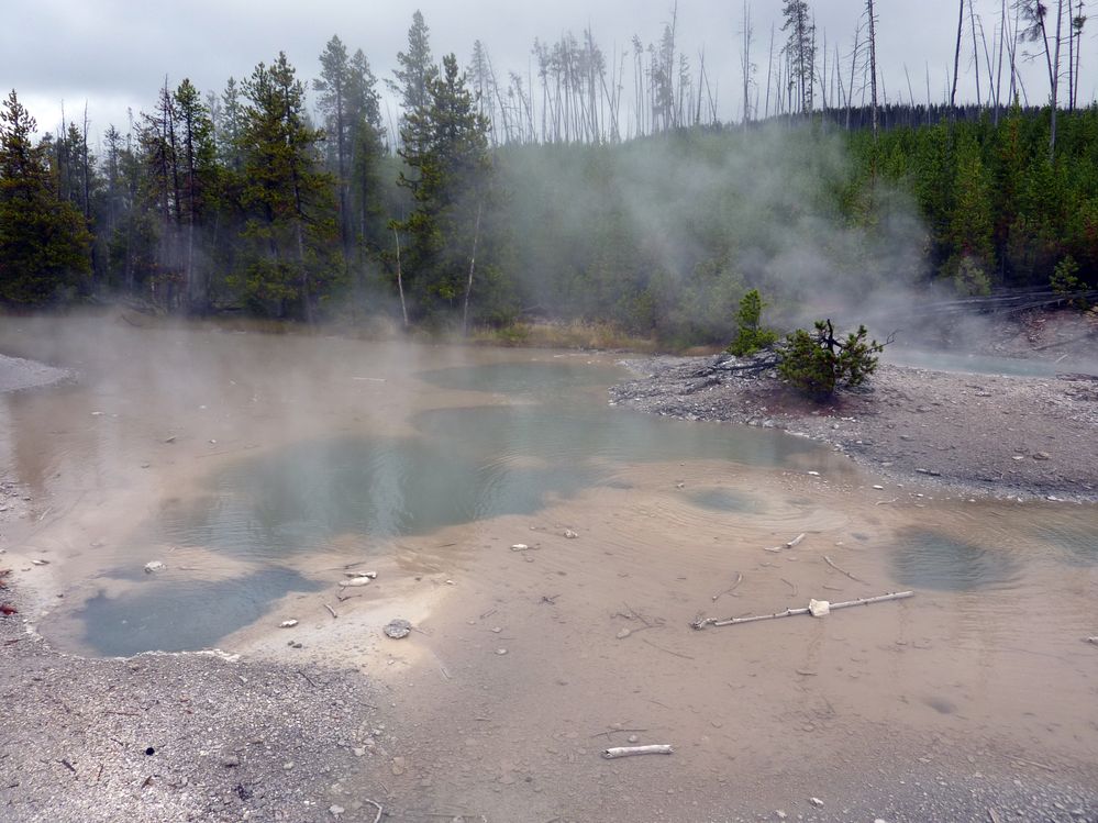 Yellowstone Norris Geyser (44).JPG